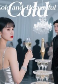 My Cold and Beautiful Wife (3)